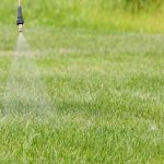 eliminar malas hierbas cesped