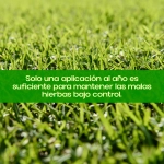 HERBICLAIR Herbicida Selectivo Césped Hoja Ancha 100 ml