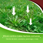 HERBICLAIR Herbicida Selectivo Césped Hoja Ancha 100 ml