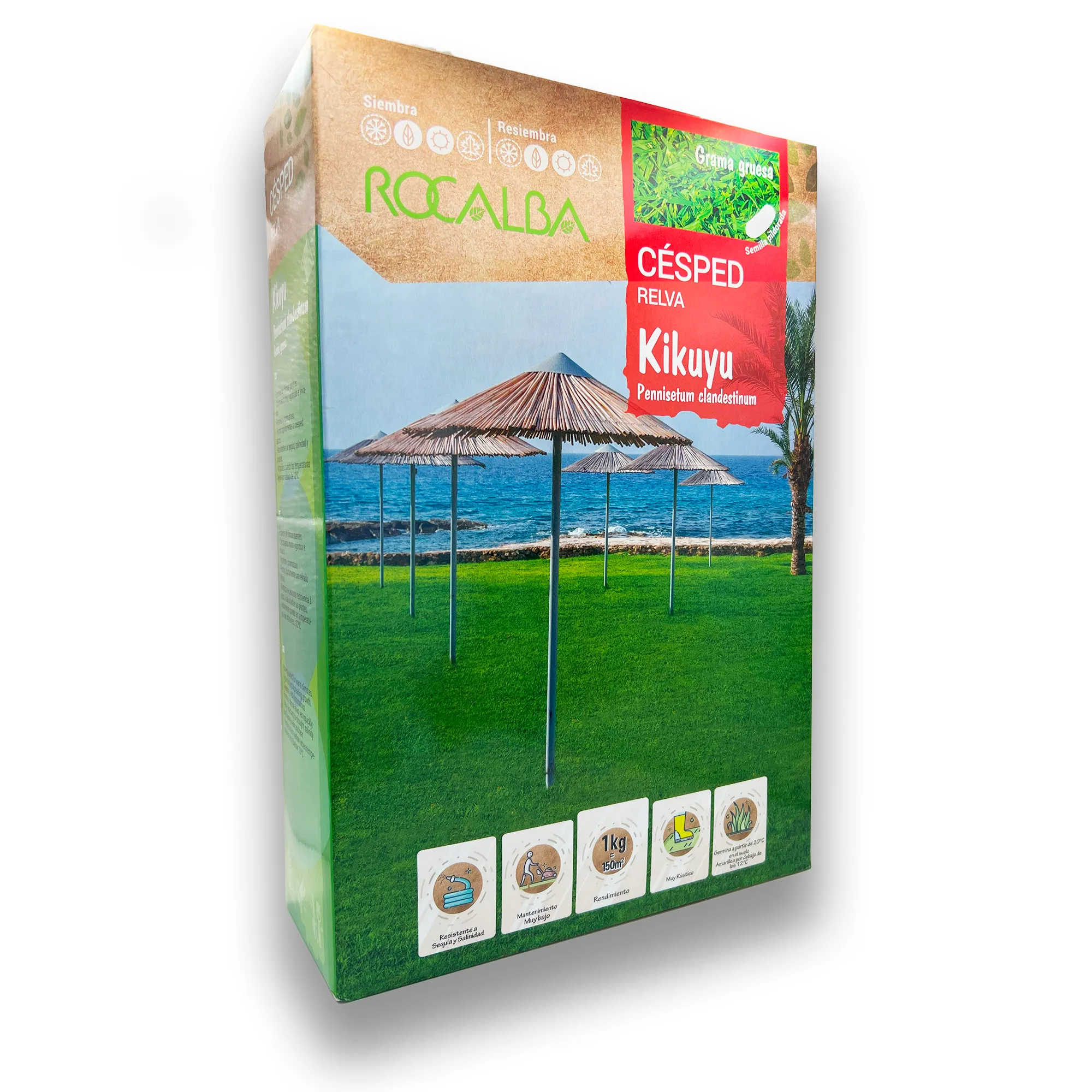 Semillas Césped Kikuyu Grama Gruesa Muy Resistente 1 KG