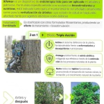 XileMax – Abono en Inyección Autopresurizado para Árboles y Palmeras