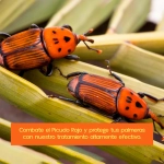 Ynject GO Palmera Dispositivo de Endoterapia 55 ml