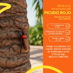 Ynject GO Palmera Dispositivo de Endoterapia 55 ml