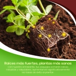 Hormonas Enraizantes Chryzotop 25 g para Esquejes