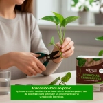 Hormonas Enraizantes Chryzotop 25 g para Esquejes