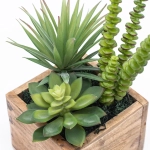 Abono para Cactus y Suculentas 350ml