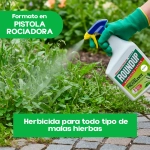 Roundup Herbicida Jardín Rapiderba AL 1L