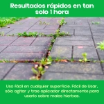Roundup Herbicida Jardín Rapiderba AL 1L