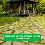 Roundup Herbicida Jardín Rapiderba AL 1L