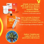 Ynject GO Palmera Dispositivo de Endoterapia 55 ml