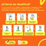 Ynject GO Palmera Dispositivo de Endoterapia 55 ml