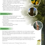 XileMax – Abono en Inyección Autopresurizado para Árboles y Palmeras