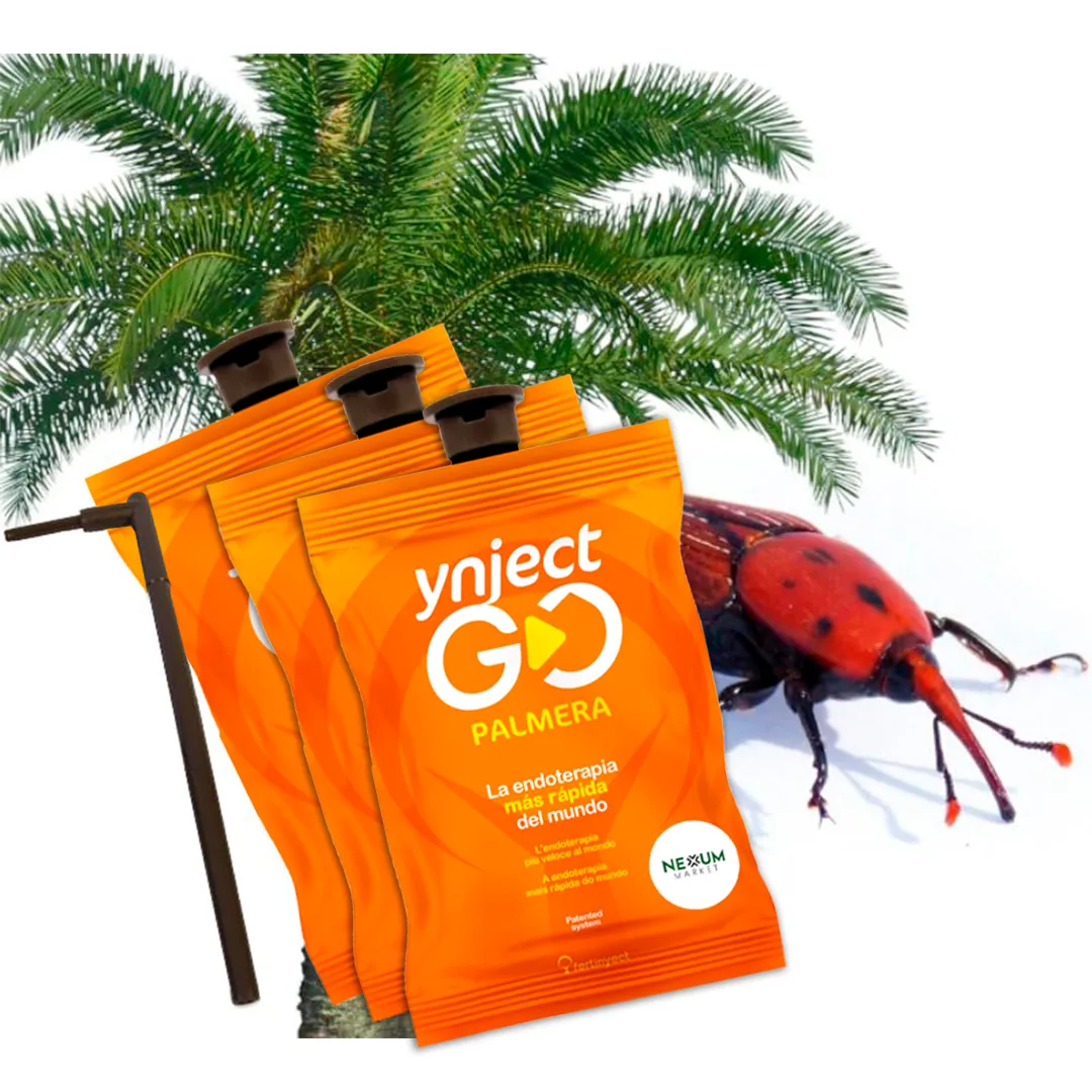 Pack 10 Ynject GO Palmera Dispositivo de Endoterapia 55 ml