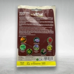 Semillas para Atraer Abejas 20g – Flora autóctona para proteger polinizadores y biodiversidad en tu jardín