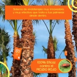 Pack 10 Ynject GO Palmera dispositivo de endoterapia 55 ml