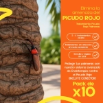 Pack 10 Ynject GO Palmera dispositivo de endoterapia 55 ml