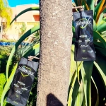 XileMax – Abono en Inyección Autopresurizado para Árboles y Palmeras
