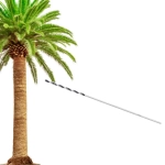 Broca para Endoterapia Árboles y Palmeras