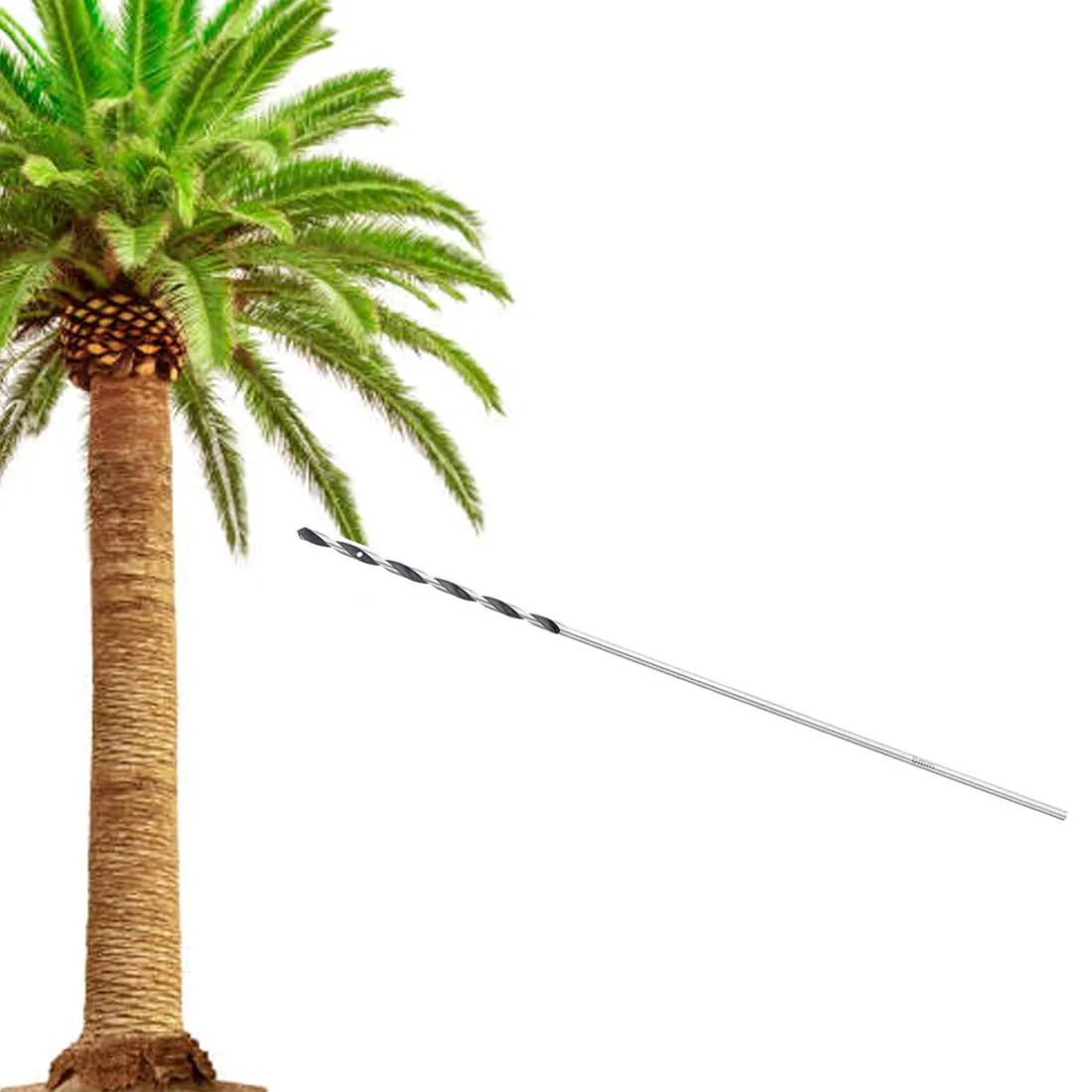 Broca para Endoterapia Árboles y Palmeras