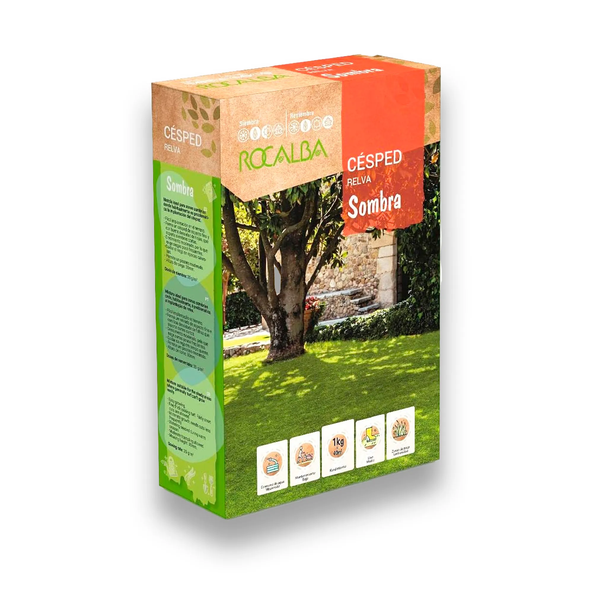 Semillas césped resistente a la sombra