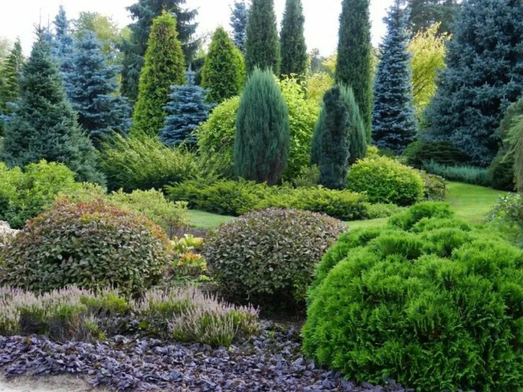 Abono Setos y Coníferas Ecológico 2 KG – Verde Intenso y Protección Anti-Amarronamiento