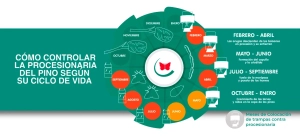 Trampa Procesionaria Nexum Market