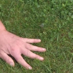 Herbicida Selectivo Césped