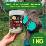 Pasta Cicatrizante Vithal Sellaplus con Cobre 1 kg