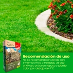Césped Duro con Kikuyu Rocalba 1 kg