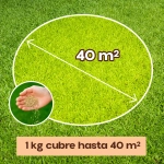 Césped Duro con Kikuyu Rocalba 1 kg
