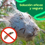 Trampa Procesionaria Nexum Market