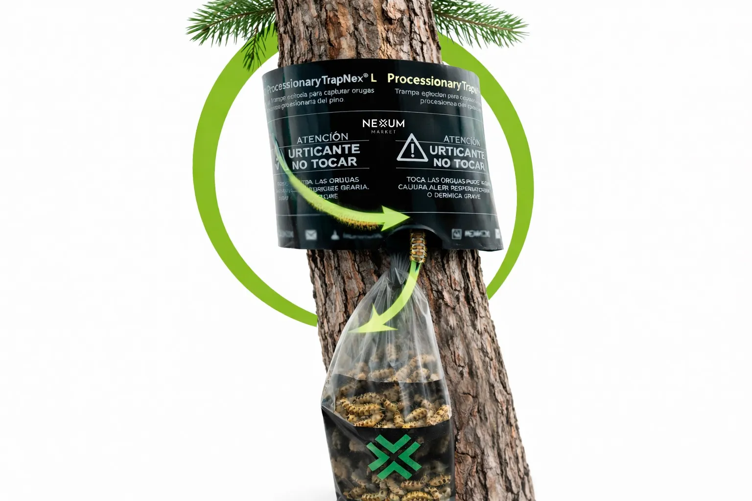 Trampa Procesionaria para los Pinos y Cedros de tipo collar para troncos de hasta 130 cm perímetro