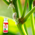 Insecticida para Cochinilla Algodonosa Pirifen 10 % Piriproxifen