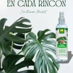 Abono Foliar Plantas de Interior 250ml – Hojas verdes, hidratadas y sanas con aplicación directa