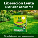 Abono Césped 5 Acciones Massó Garden 2 kg - 6 kg Reverdeciente