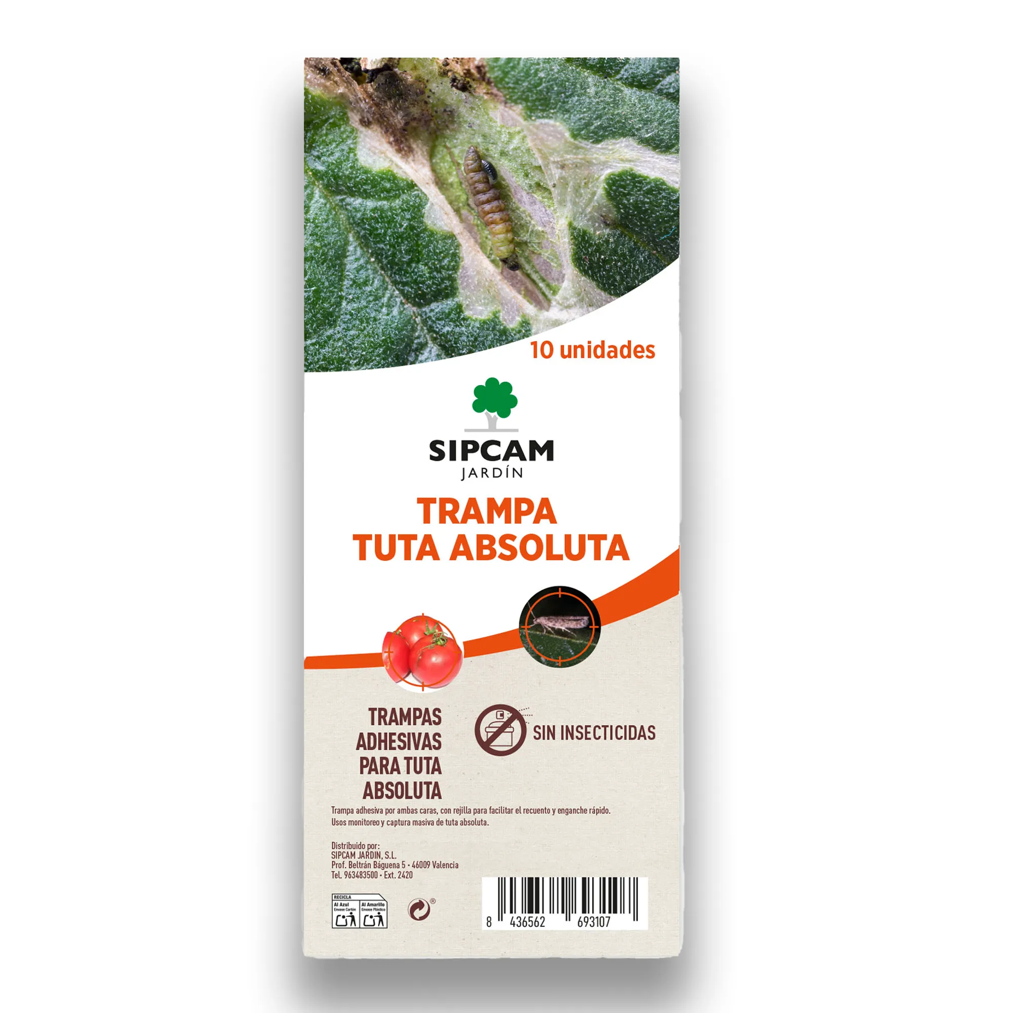 Trampa para la Tuta Absoluta