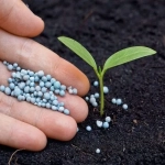 Abono Azul 2Kg – Fertilizante Universal para Plantas Sanas y Cosechas Abundantes