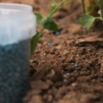 Abono Azul 2Kg – Fertilizante Universal para Plantas Sanas y Cosechas Abundantes