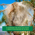 Ynject GO Mini Endoterapia Procesionaria del Pino 25 ml