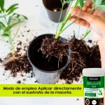 Enraizante ecológico en Polvo Rocalba 50 g para Esquejes