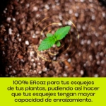 Enraizante ecológico en Polvo Rocalba 50 g para Esquejes