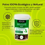Enraizante ecológico en Polvo Rocalba 50 g para Esquejes