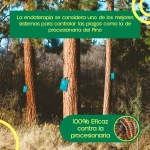 Pack 10 Ynject GO Mini Endoterapia Procesionaria del Pino 25 ml