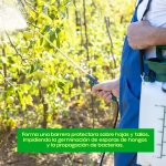 Fungicida Cobre Nordox 75 WG Massó Garden 50 g