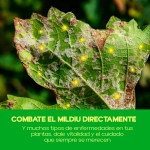 Fungicida Cobre Nordox 75 WG Massó Garden 50 g