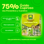 Fungicida Cobre Nordox 75 WG Massó Garden 50 g