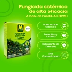 Fungicida Sistémico Fosetil-Al 100 g Massó Garden