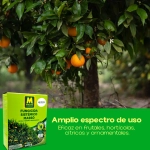 Fungicida Sistémico Fosetil-Al 100 g Massó Garden
