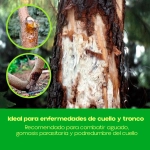 Fungicida Sistémico Fosetil-Al 100 g Massó Garden