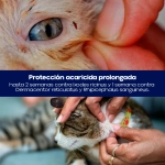 Pipetas Lifronil para gatos con fipronil 50 mg x3